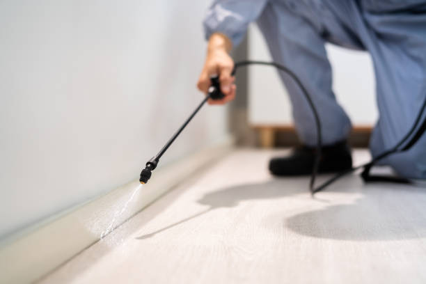 Licensed Fumigation Services service in Comanche, OK - Nex Pest Control