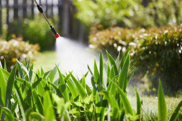 24/7 Emergency Fumigation Services experts in Comanche, OK