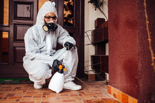 Reliable Fumigation Services contractor in Comanche, OK by Nex Pest Control